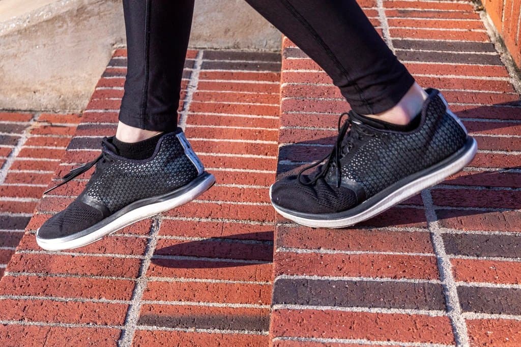 Daily Mesh Trainer