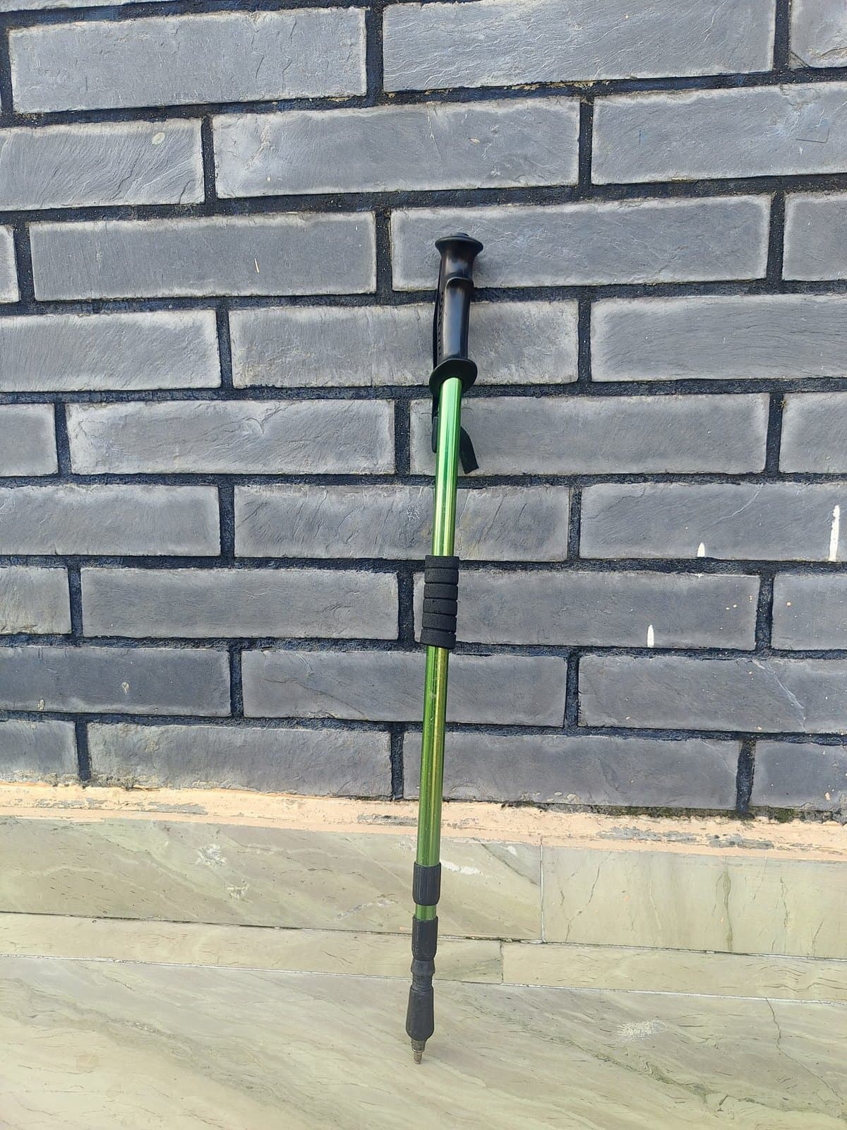 Ridge Trekking Poles