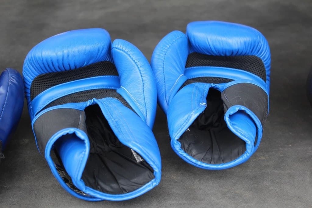 Training Boxing Gloves